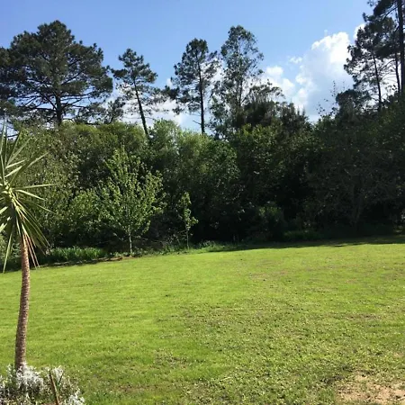 Santiago By The Sea, Entre Mar Y Campo * ノイア